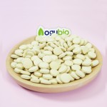 Pine Pollen Tablets Supplier - High Quality 99% Cracked Cell Wall