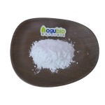 L-Theanine Powder Factory - Natural High Quality Organic Plant