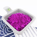 Red Dragon Fruit Powder Supplier - Superfood Freeze-Dried Additive