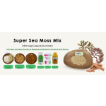 Bladderwrack Powder Factory - Natural Fucus Vesiculosus Extract 10:1