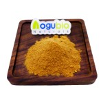 Tea Tree Mushroom Supplier - Agrocybe Chaxingu Extract Powder