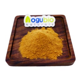 Tea Tree Mushroom Supplier - Agrocybe Chaxingu Extract Powder