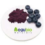 Blackberry Powder Supplier - Superfood Freeze Dried Natural