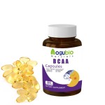 BCAA Powder Supplier - Private Label Sports Vegan 2:1:1 Drink