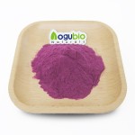 Blackberry Powder Supplier - Superfood Freeze Dried Natural