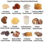 Cordyceps Extract Manufacturer - 30% Polysaccharide Sinensis