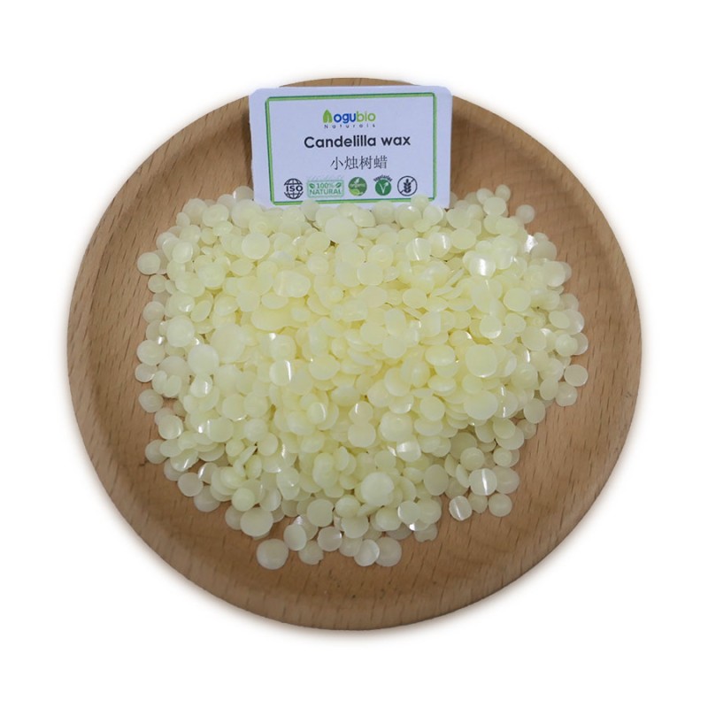 Candelilla Wax Supplier - Wholesale Natural Cosmetic Wax