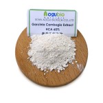 Garcinia Cambogia Supplier - Bulk Extract Powder HCA 50-70%