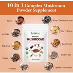 Mushroom Capsules Factory - Lions Mane Turkey Tail Cordyceps Reishi