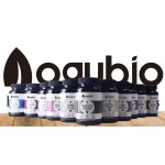 Reishi Capsules Supplier - High Quality 99% Mushroom Extract