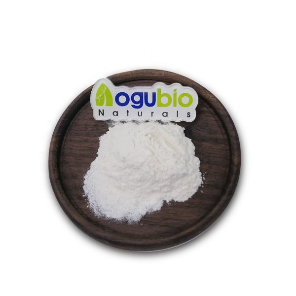 Lactobacillus Bulgaricus Manufacturer - Food Ingredients Freeze-dried