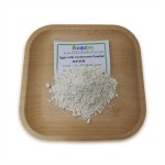 Tiger Milk Powder Manufacturer - Lignosus Rhinocerus Mushroom