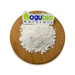 Probiotics Powder Supplier - Freeze-dried Original Manufacturer