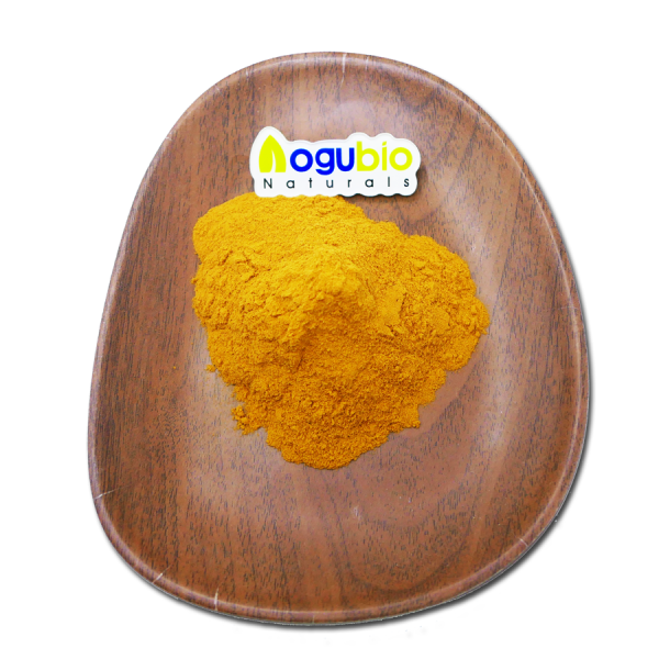 Turkey Tail Extract Factory - Organic 30-50% Polysaccharides