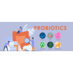 Probiotic Capsules Factory - 120 Billion CFU Acidophilus Tablets