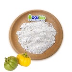 Garcinia Cambogia Supplier - Bulk Extract Powder HCA 50-70%