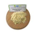 Lactobacillus Bulgaricus Powder Supplier - High Quality 10 Billion CFU
