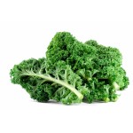 Kale Extract Powder Manufacturer - OEM Green Powder Pure Natural