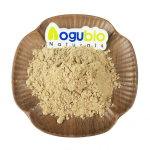 Bladderwrack Powder Factory - Natural Fucus Vesiculosus Extract 10:1