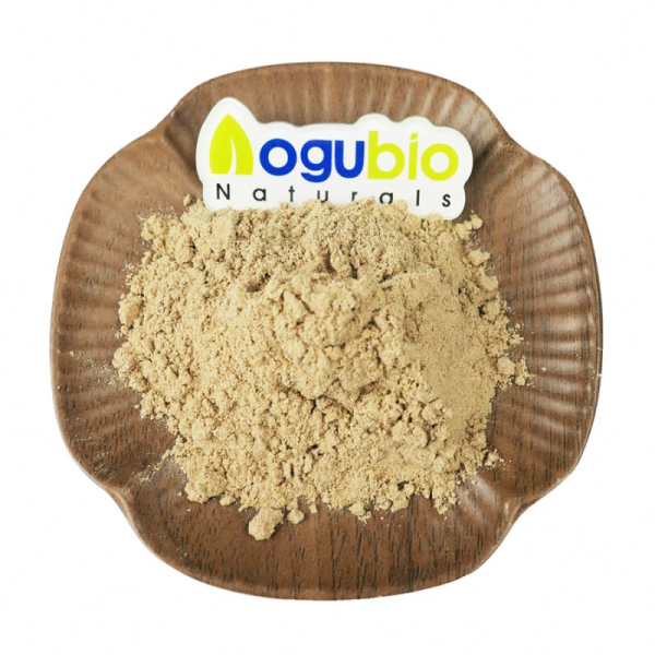 Bladderwrack Powder Factory - Natural Fucus Vesiculosus Extract 10:1
