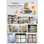 Bifidobacterium Animalis Factory - Food Ingredients Freeze-dried Powder