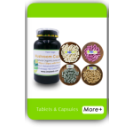 Lactobacillus Reuteri Manufacturer - OEM Food Ingredients Freeze-dried