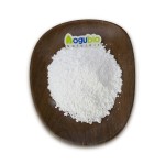 Lactobacillus Casei Factory - Probiotics Ingredients Freeze-dried