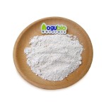 Garcinia Cambogia Supplier - Bulk Extract Powder HCA 50-70%