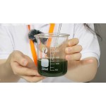 Chlorella Tablets Factory - OEM Superfood Organic Vegan Protein