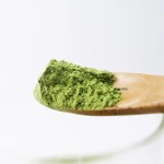 Matcha Powder Manufacturer - ISO Certified Organic Green Tea Free Sample