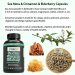 Sea Moss Capsules Manufacturer - High Quality 99% Wholesale