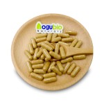 Maitake Powder Manufacturer - 30-50% Polysaccharides Fruiting Body