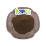 Mushroom Coffee Powder Manufacturer - 8 in 1 Instant Organic Private Label
