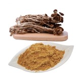 Tea Tree Mushroom Supplier - Agrocybe Chaxingu Extract Powder