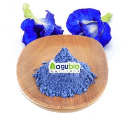 Butterfly Pea Powder Manufacturer - Water Soluble Blue Matcha Tea