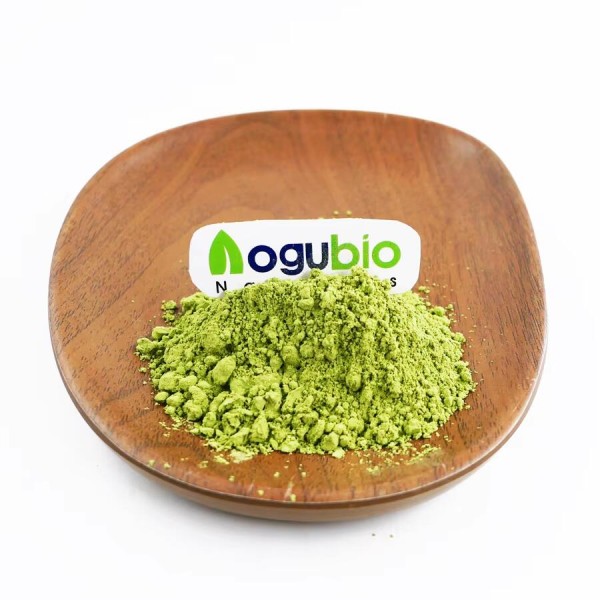 Matcha Powder Factory - ISO Certified Ceremonial Green Tea