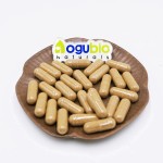 Tiger Milk Powder Manufacturer - Lignosus Rhinocerus Mushroom