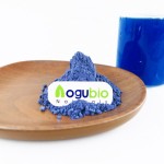 Butterfly Pea Powder Manufacturer - Water Soluble Blue Matcha Tea