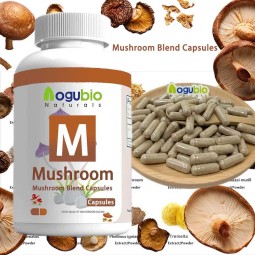 Mushroom Capsules Manufacturer - Lions Mane Kava Rhodiola B12 Complex