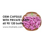 Reishi Capsules Supplier - High Quality 99% Mushroom Extract