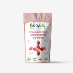 Freeze Dried Strawberry Powder Factory - ISO Factory Bulk Organic