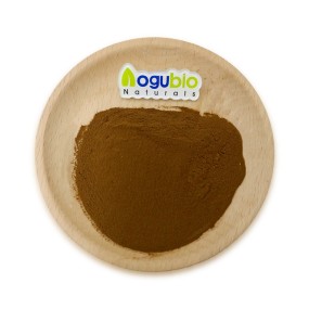 Polyporus Extract Powder Manufacturer - Mushroom Polysaccharide Umbellatus