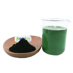 Chlorella Powder Supplier - Organic Food Additive Natural