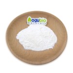 Hydrolyzed Silk Protein Powder Manufacturer - Cosmetic Grade Water Soluble