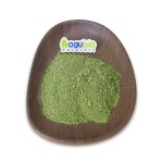Barley Grass Powder Manufacturer - Organic Certified Cheap Price