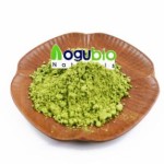 Wheat Grass Powder Manufacturer - Newest Batches 100% Natural