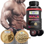 Maca Capsules Manufacturer - Private Label Herbal Man Power Support
