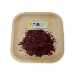 Astaxanthin Powder Supplier - Natural 1% Plant Extract Food Grade