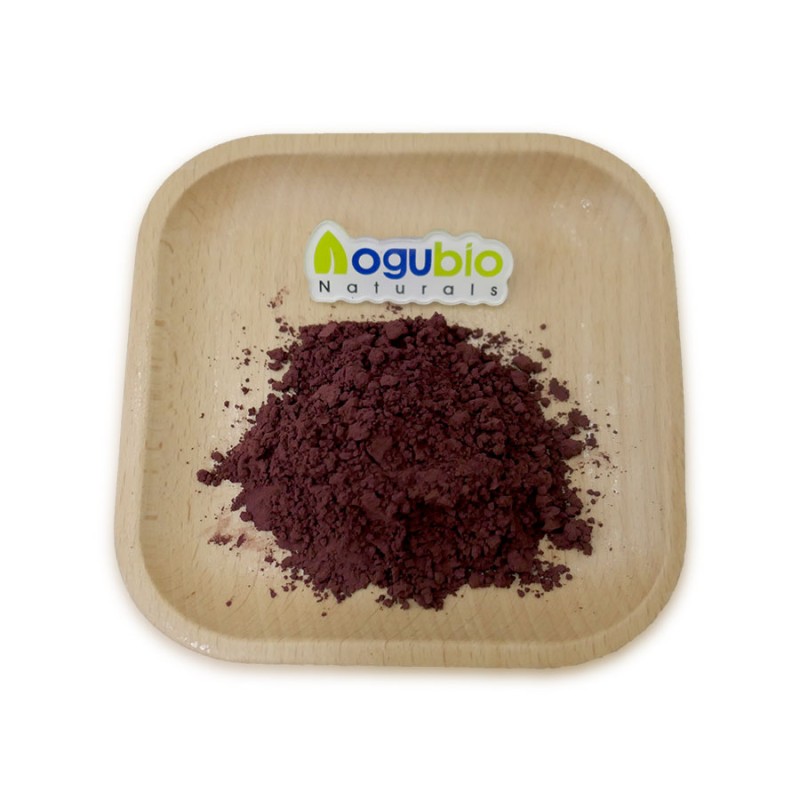 Astaxanthin Powder Supplier - Natural 1% Plant Extract Food Grade