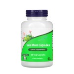 Sea Moss Capsules Manufacturer - High Quality 99% Wholesale